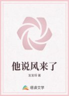 他说风来了