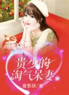 貴少的淘氣呆妻