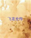 飞龙全传
