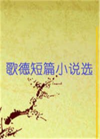 歌德短篇小说选