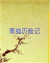 黑猫历险记