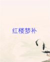 红楼梦补