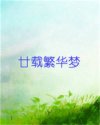廿载繁华梦
