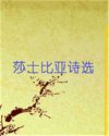 书名
