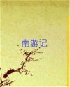 书名
