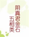 阴真君金石五相类