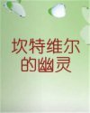 书名
