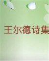 书名