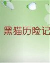 书名
