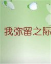 我弥留之际