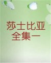 书名