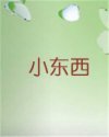 书名