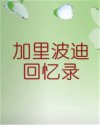 加里波迪回忆录