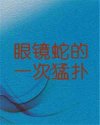 书名