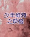 少年维特之烦恼