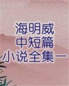 书名