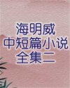 书名