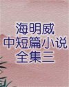 书名