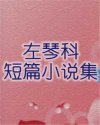 左琴科短篇小说集