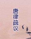 唐律疏议