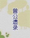 曾公遗录