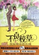 不良校草：我家帅弟初长成
