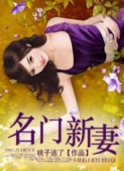 名门新妻