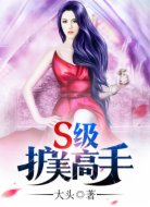 S级护美高手