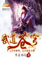武道苍穹