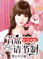 索爱成瘾:首席,请节制