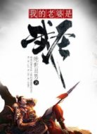 我的老婆是武圣