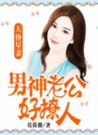 天价星妻:男神老公好撩人