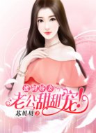 蜜制娇妻:老公,甜甜宠!