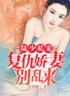 陆少私宠:复仇娇妻别乱来
