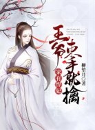 家有悍妃:王爷束手就擒