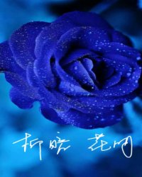 柳暗，花明