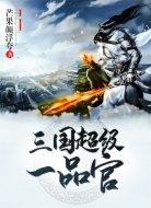 三國超級一品官