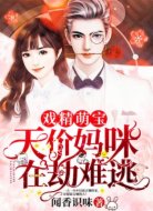 戏精萌宝:天价妈咪在劫难逃