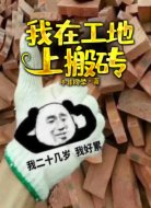 我在工地上搬砖