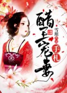 醋王宠妻手札