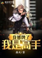 我摊牌了我是高手