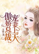 傲娇总裁宠妻上天