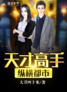 天才高手纵横都市