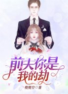 前夫，你是我的劫