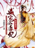 病娇暴君:盛宠小毒妃