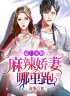 豪门宠婚:麻辣娇妻哪里跑