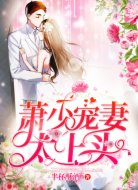 萧少宠妻太上头