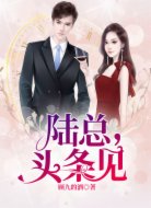 陆总,头条见