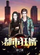 都市狂婿