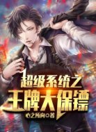 超级系统之王牌大保镖